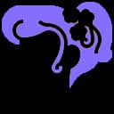 Κομμωτική & styling